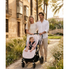 colchon-silla-rev-raya